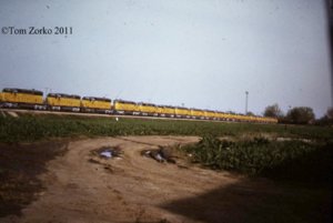 Lotsof40s_1975.jpg