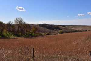Rolling Hills_2_110118.JPG