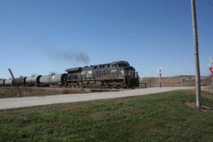 IMG_8609.jpg