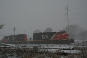 IMG_8629.JPG