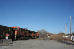 IMG_8786.JPG