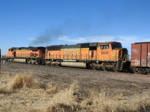 DSCN3026.JPG