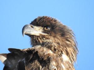 DSCN3109.JPG