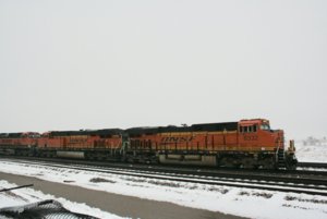 IMG_8806 2.jpg