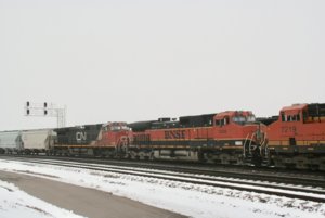 IMG_8807.jpg