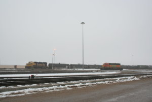 IMG_8811.JPG