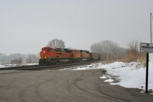 IMG_8828 2.jpg