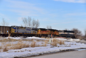 CREX 1349_031119.JPG