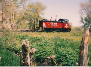 Tom's Trains_0003.jpg
