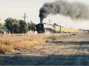Tom's Trains_0021.jpg