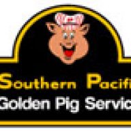 Golden Pig