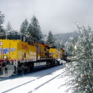 C45AC CTE's in the SNOW