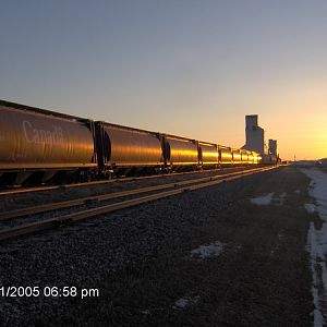 Golden Grain Cars