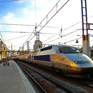 TGV 338