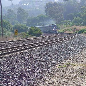 Sunday's surfliner