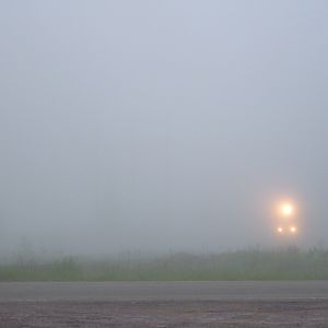 Headlights in the Fog