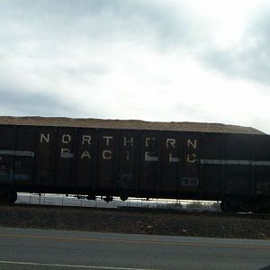 Northern Pacific woo chip hopper