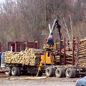 Logging operation?