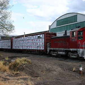 Meeker Southern Lumber Train
