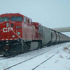 CP 9777 SITTING IN THE SNOW