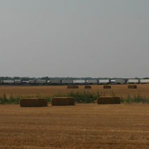 Texas Hay Field