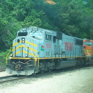 Trans Ferrovia Mexicana