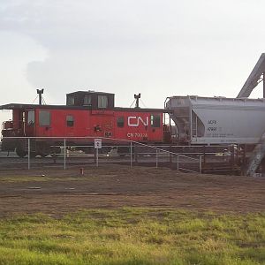 CN 79924