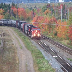 Fall foliage and trains!