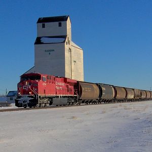 Elkhorn Manitoba