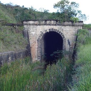 Tunnel 36
