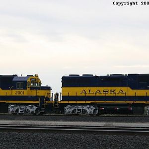 Dual Alaska Geeps @ Hauser, Idaho