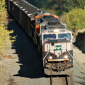 BNSF Coal