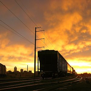 Sunrise In The East Yard