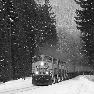 Cold Z train