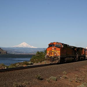 Z-train & Mt. Hood