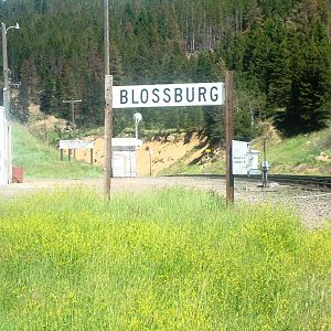 Blossberg