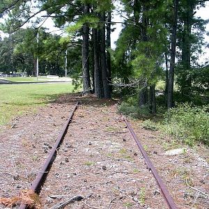 Trees and Track