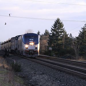 Amtrak's Coast Starlight