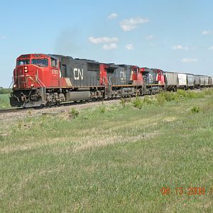 CN Three Unit Train