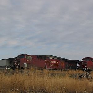 Alberta Trains