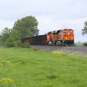 Coal Train at  Foley