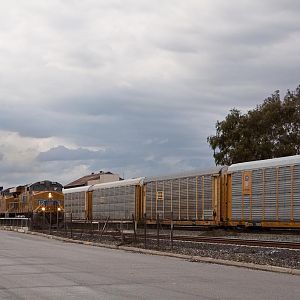Wall of Trains