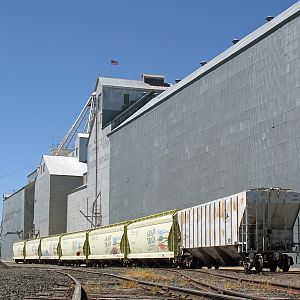 WA Grain Train at St. John, WA