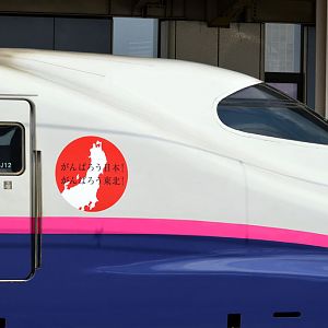 JR-East series E2 at Oyama