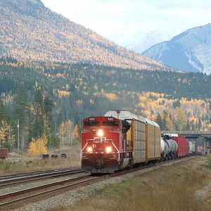 CP 9300 West at Donald BC