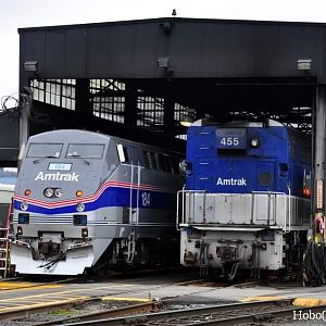 Amtrak # 184 (Phase IV)