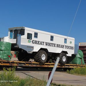 Great White Bear Tours