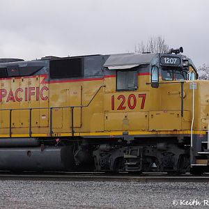 UP 1207