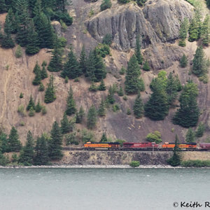 Westbound Grain Train