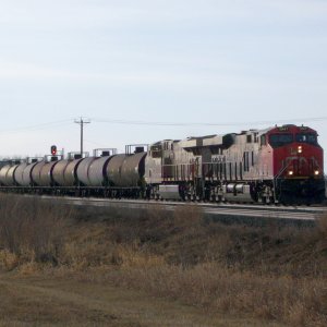 CN 590 23-4-23